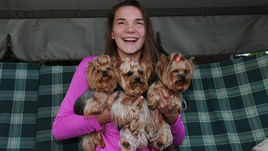 Мария ВАДЕЕВА со своими йоркширскими терьерами.