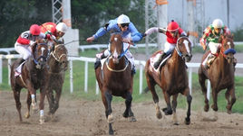 Презентация телеканала "Конный мир"
