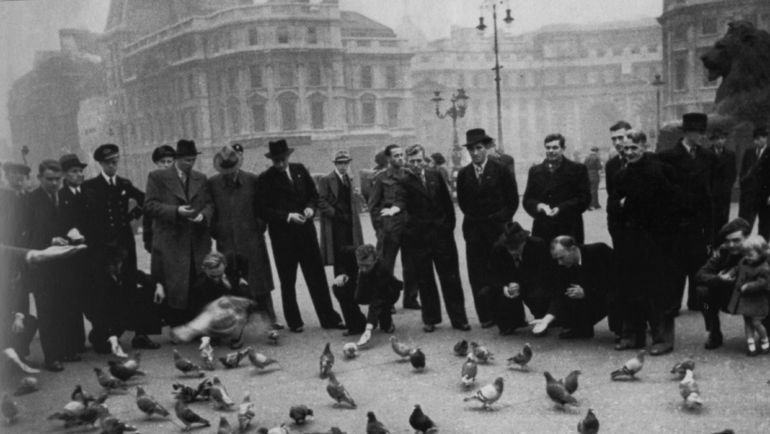 Динамовцы на Трафальгарской площади. Фото ФК Динамовцы на Трафальгарской площади. Фото ФК