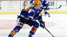 Остон МЭТТЬЮС.