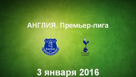 "Эвертон" - "Тоттенхэм Хотспур". Лучшие моменты