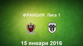 "Ницца" - "Анже". Лучшие моменты