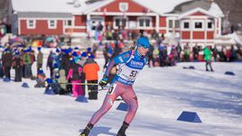 Александр ПОВАРНИЦЫН.