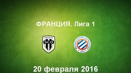 "Анже" - "Монпелье". Лучшие моменты	