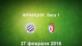 "Монпелье" - "Лилль". Лучшие моменты	