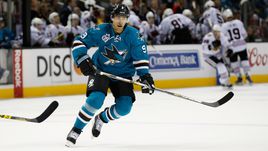 Дайнюс ЗУБРУС.