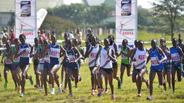 Сирена для Кении, звоночек для России