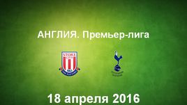 "Стоук Сити" - "Тоттенхэм Хотспур". Лучшие моменты	