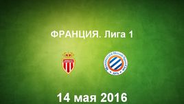 "Монако" - "Монпелье". Лучшие моменты	