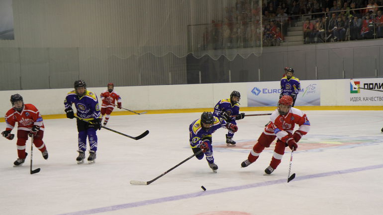 В Новомосковске собрались 12 хоккейных команд из России, Литвы, Германии, Швейцарии, Казахстана, Финляндии и Бельгии. В Новомосковске собрались 12 хоккейных команд из России, Литвы, Германии, Швейцарии, Казахстана, Финляндии и Бельгии.