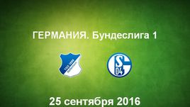 "Хоффенхайм" - "Шальке-04". Лучшие моменты	