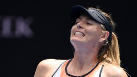 "Возвращается королева тенниса". Социальные сети рады решению CAS по Шараповой