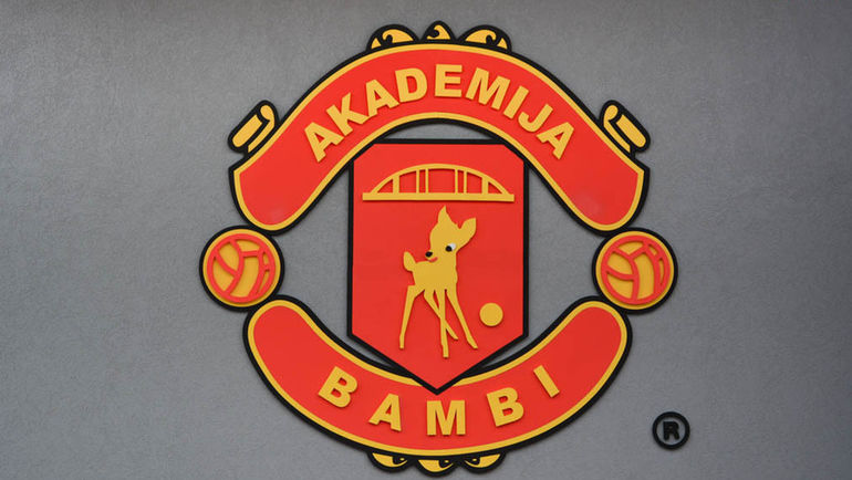 Логотип академии Зорана Тошича. Логотип академии Зорана Тошича.