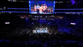 Бой Ковалев - Уорд.