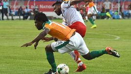 "Слоны" под угрозой исчезновения