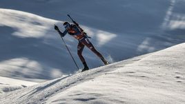 Антон ШИПУЛИН.