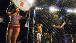 Кто ты из бойцов ММА?