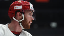 Владислав ГАВРИКОВ.