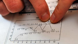 Пример данных биологического паспорта.