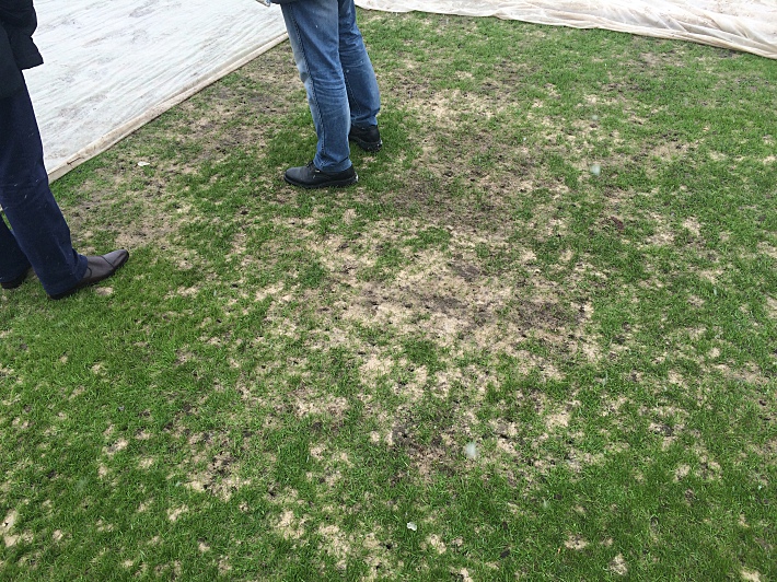 31 марта. Поле тульского стадиона. Версия РФПЛ.