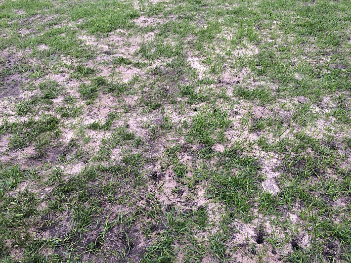 31 марта. Поле тульского стадиона. Версия РФПЛ.