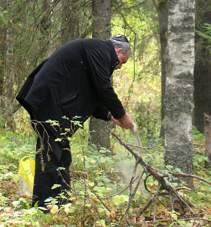 Фото - Игорь РАБИНЕР,